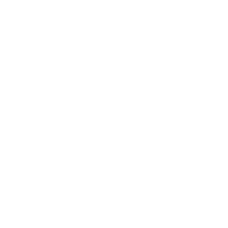Botnet icon