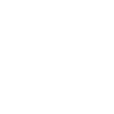 Infostealer icon