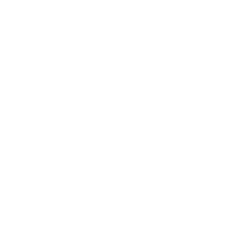 Virus Icon