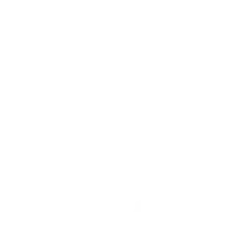 Ransomware icon