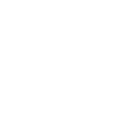 Wiper Icon