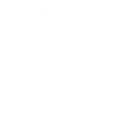 Trojan Icon