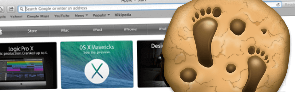 Understanding the Recipe of a Web Cookie